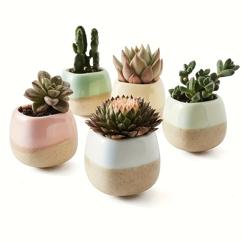 

5pcs, Mini Planter Set, Ceramic Succulent & Cactus Pot Collection, 2.56-inch Garden Style Planters With Drainage, Assorted Pastel Glazed Finish, Perfect Women's Gift For Home, Office Outdoor Gardens