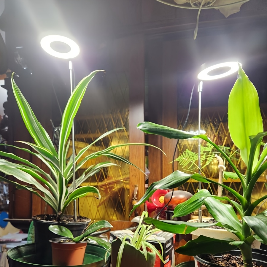 item picture 2 pack     lights with auto timer adjustable 2 hour 4 hour or 8 hour cycle four brightness   for indoor small plants