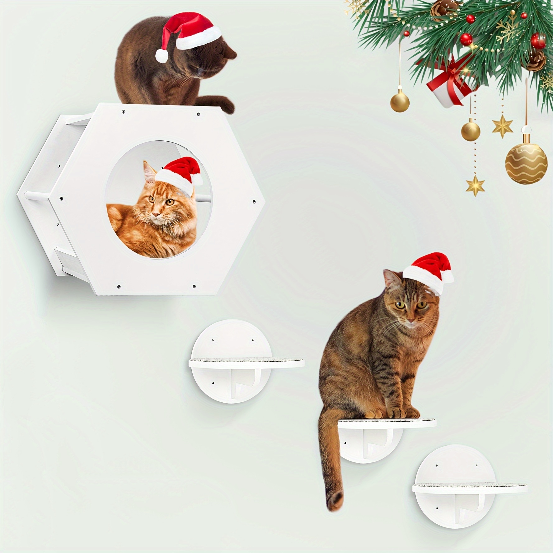 

Cat , Cat Shelves Up To , 1 Cat And 3 Cat Scratching Pad, Cat And For , Cat Shelves ,