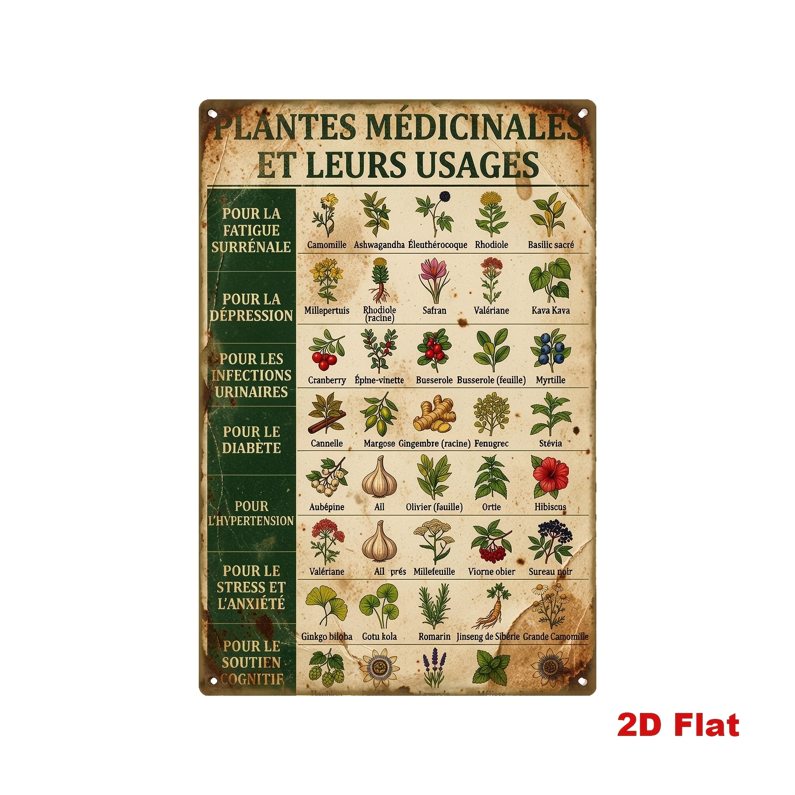 TEMU Panneau Métal 2D Plat, 2D Plat [] 1pc Vintage Français Plantes Alimentaires, Affiche en Fer 20X30Cm, d'Efficacité des Plantes Médicinales,