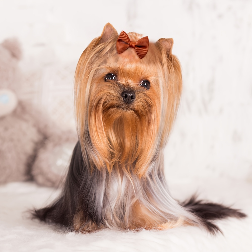 random 20pcs   handmade solid color pet dog bows hair additions for dogs cute cat bowknots pet supplies Product details 3