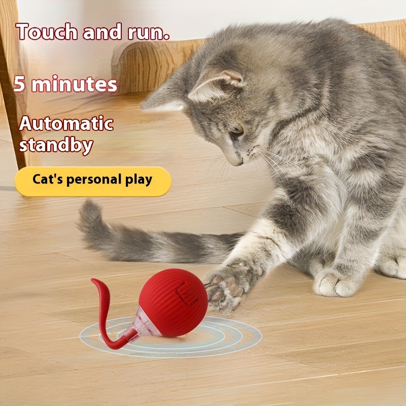 

Interactive Cat Toy, Spherical Cat Toy With Led Light, Fast Rolling, Indoor