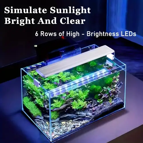 Lighting for Beginner Aquarists: Essential Tips for Perfect Setup