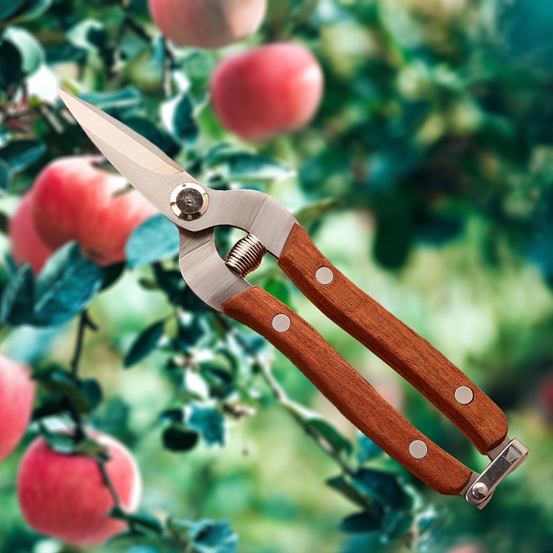 

Pruning Shears, - Pruners, Steel , - And Floriculture For Picking, Grafting, And Trimming