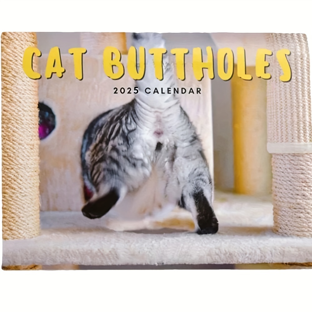 

Cat Butt 2025, 12- , And