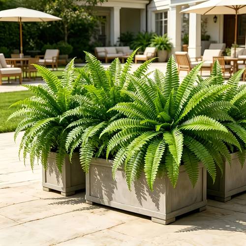 3pcs Set of Uv-Resistant Artificial Persian Fern Plants, Plastic, Indoor And Outdoor, Hanging, No Container, for Anniversaries, Father S Day, Mother S Day, Graduation, Earth Day, Easter, Home Decor, Room Types, Spring, , Weddings