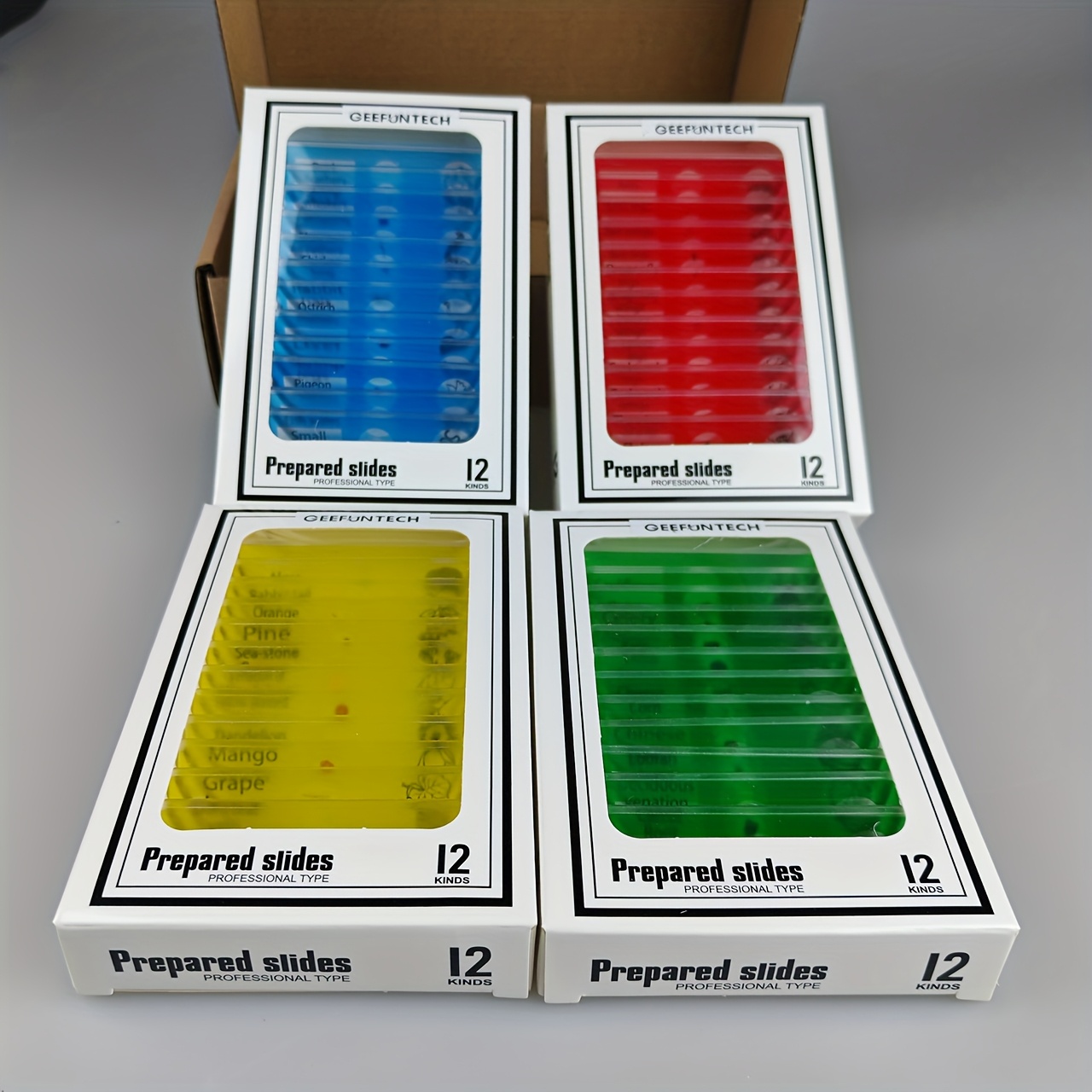 TEMU Preparati per microscopio 48 pezzi, sezioni in plastica in 4 colori