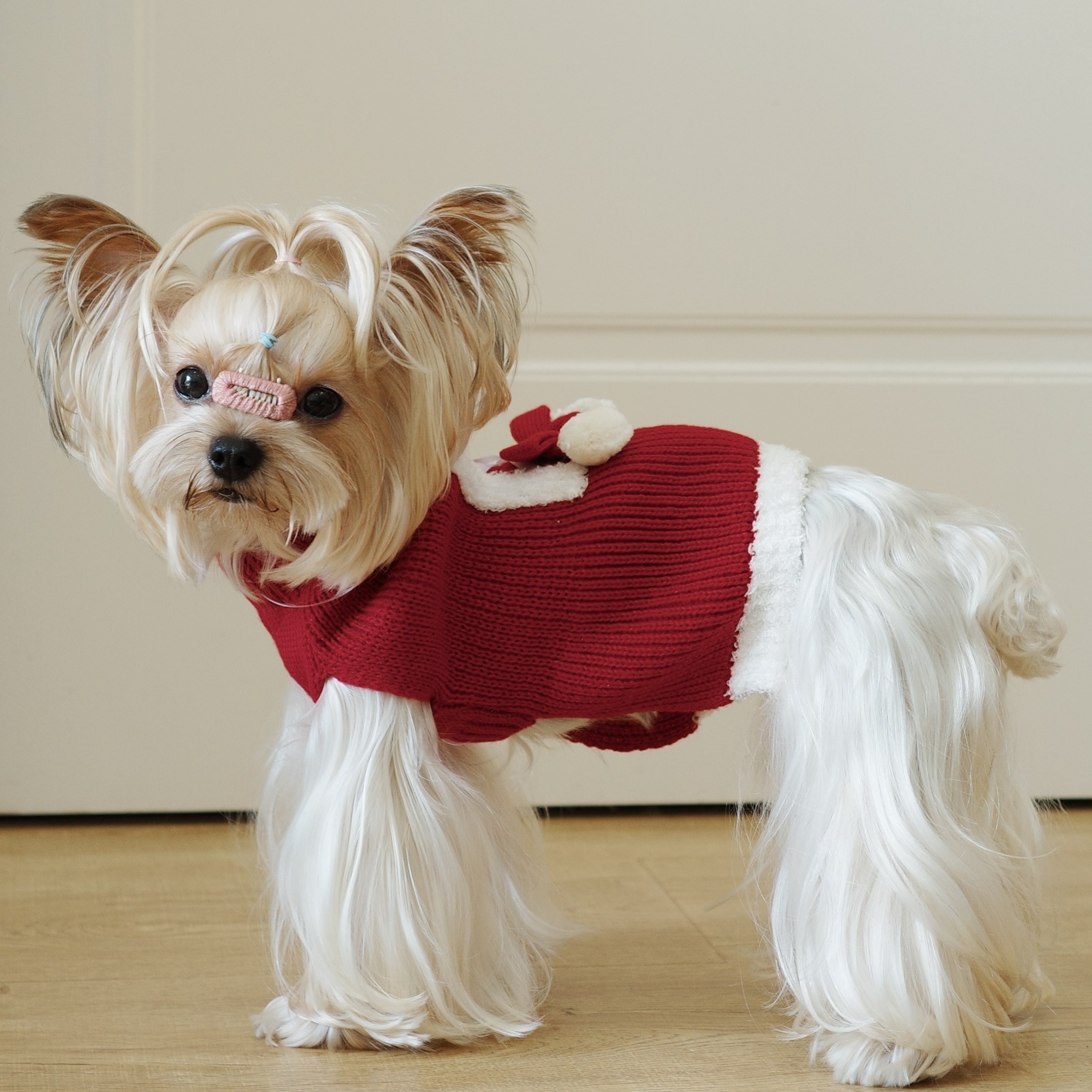 white christmas dresses Santa Christmas Dog Party Dresses | Poshdoglife.com main image 0