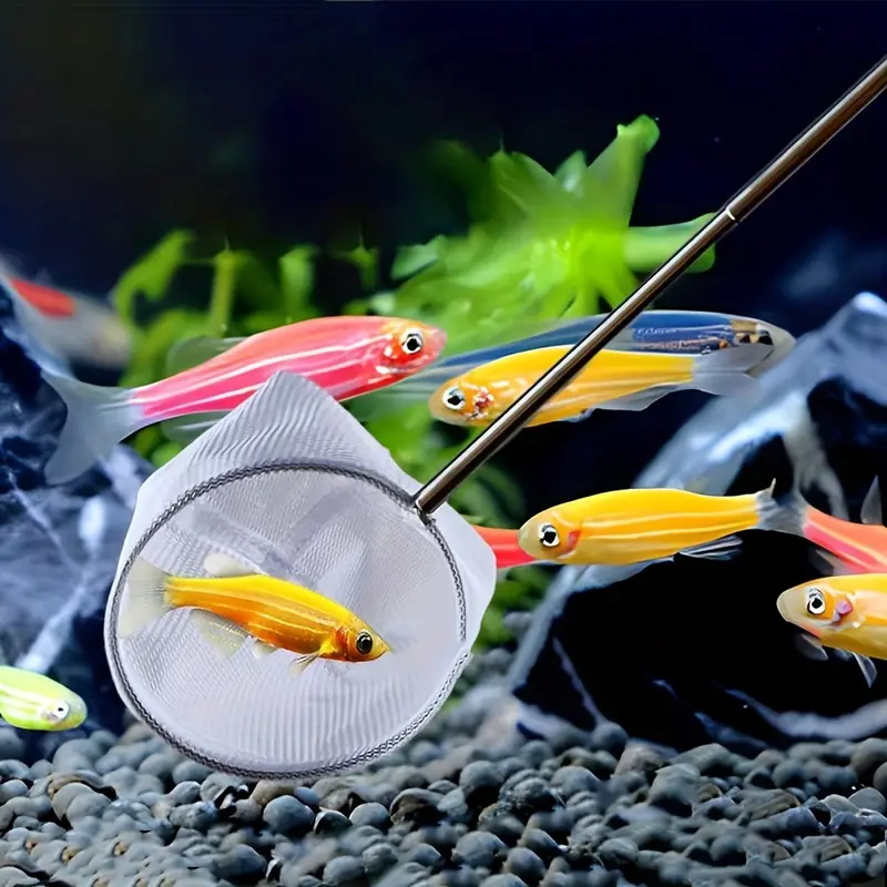 fish tank fish nets adjustable 5 15 inch long handle small - Temu fish tank fish nets adjustable 5 15 inch long handle small - Temu