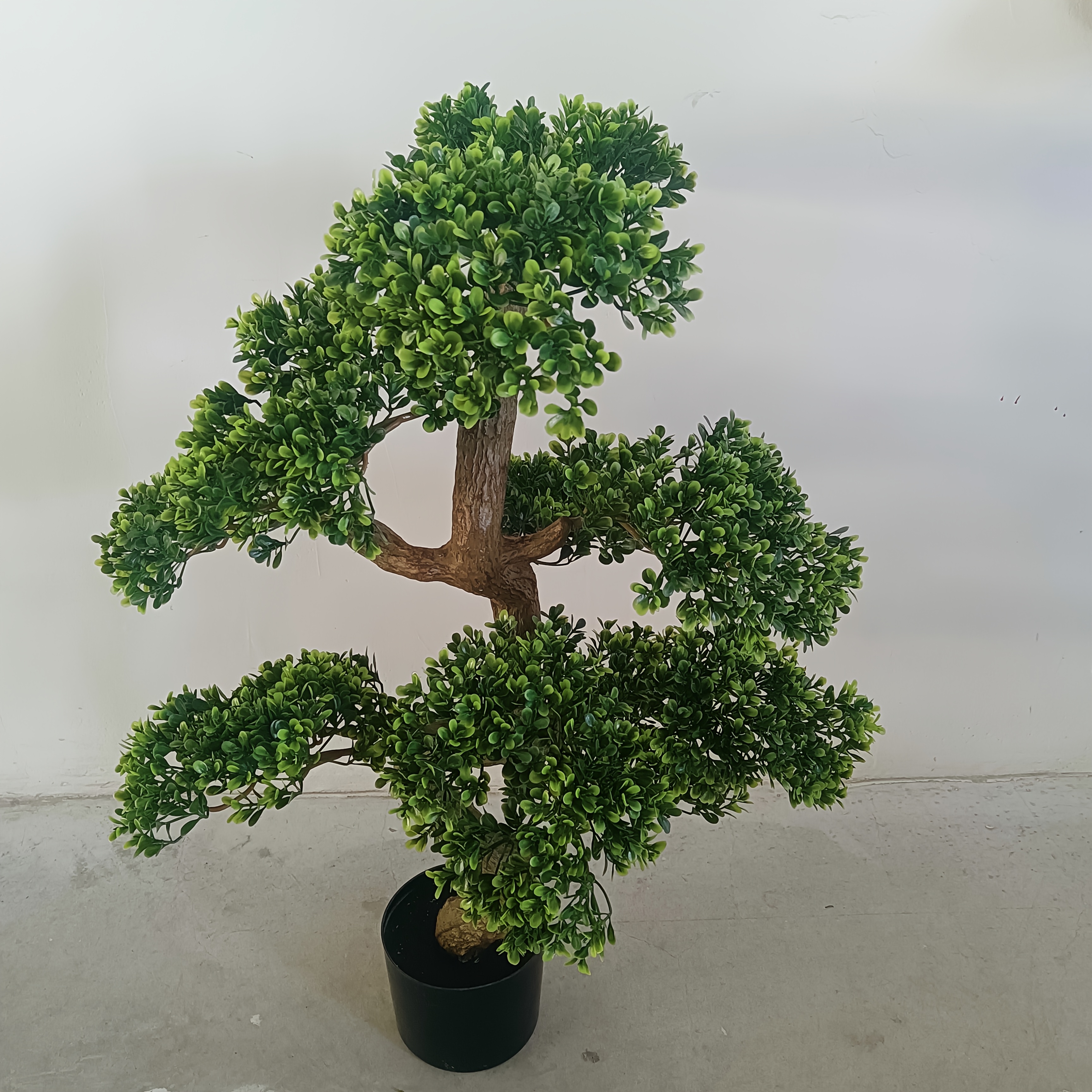 groer knstlicher geld baum bonsai hof villa balkon - Temu Switzerland