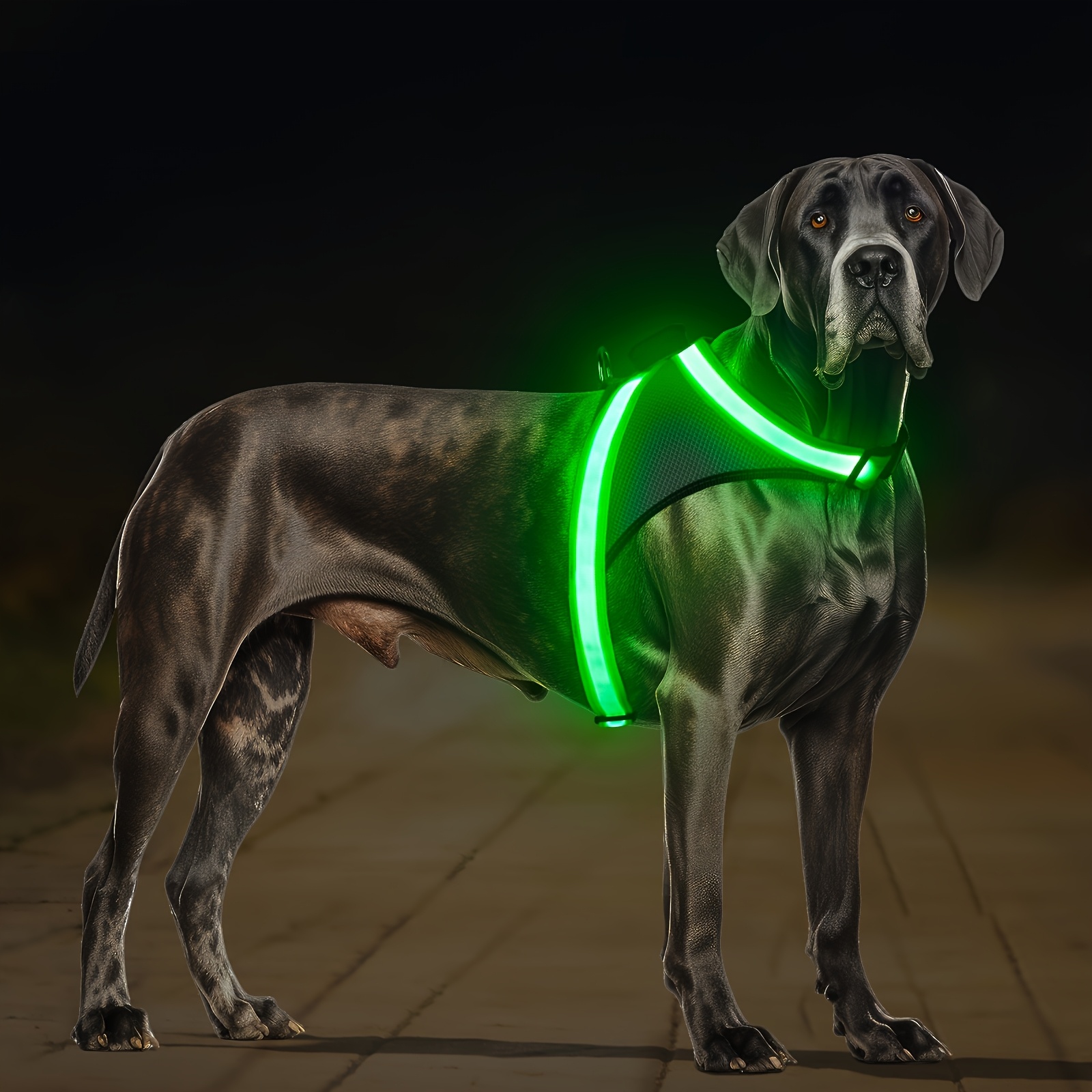 E-shop Neues Leuchtendes Hunde-Geschirr, Kein Ziehen, Neues LED Hunde-Geschirr Leuchtet im Dunkeln für Nachtwanderungen, USB Wiederaufladbares