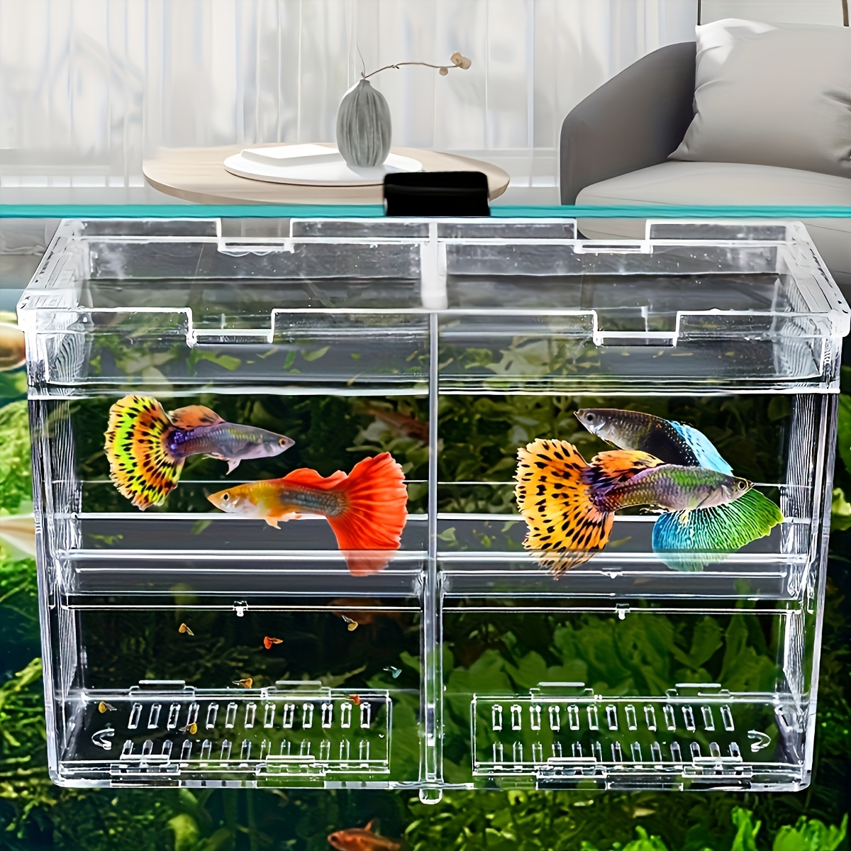 Breeder Box For Fish Tank Fish Breeding Box, Transparent Aquarium