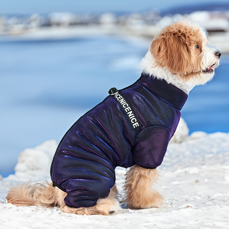 Amazon Medium Dog Coats For Winter Amazon Dog Coats Warm And