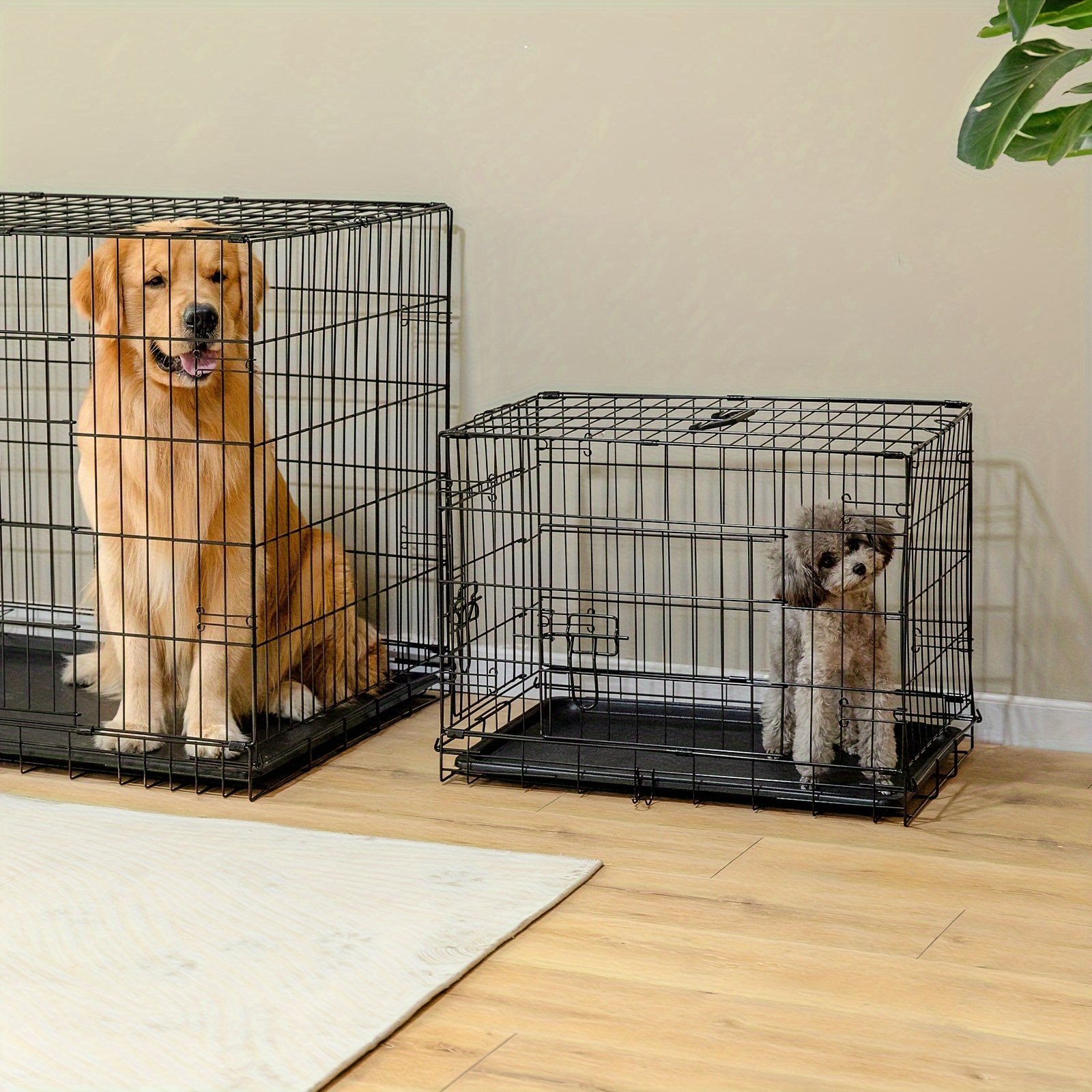 

Dumos Dog Crate With Divider Panel, 42 Inch Double Door Folding Metal Wire Dog Cage With Plastic Leak-proof Pan Tray, Large Xl Pet Kennel For Indoor, Outdoor, Travel