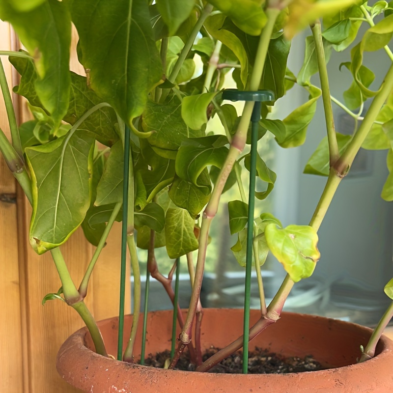 5pcs, Potted Plant Support Rack/ Flower Vegetable Vine Climbing Bracket/ Balcony Creative Decorative Rack, Plant Fixed Rod Fixed Gardening Flower Plant Branch Dry Fixed Material Fiberglass Rod Rod Bonsai Support Rod Flower Vine