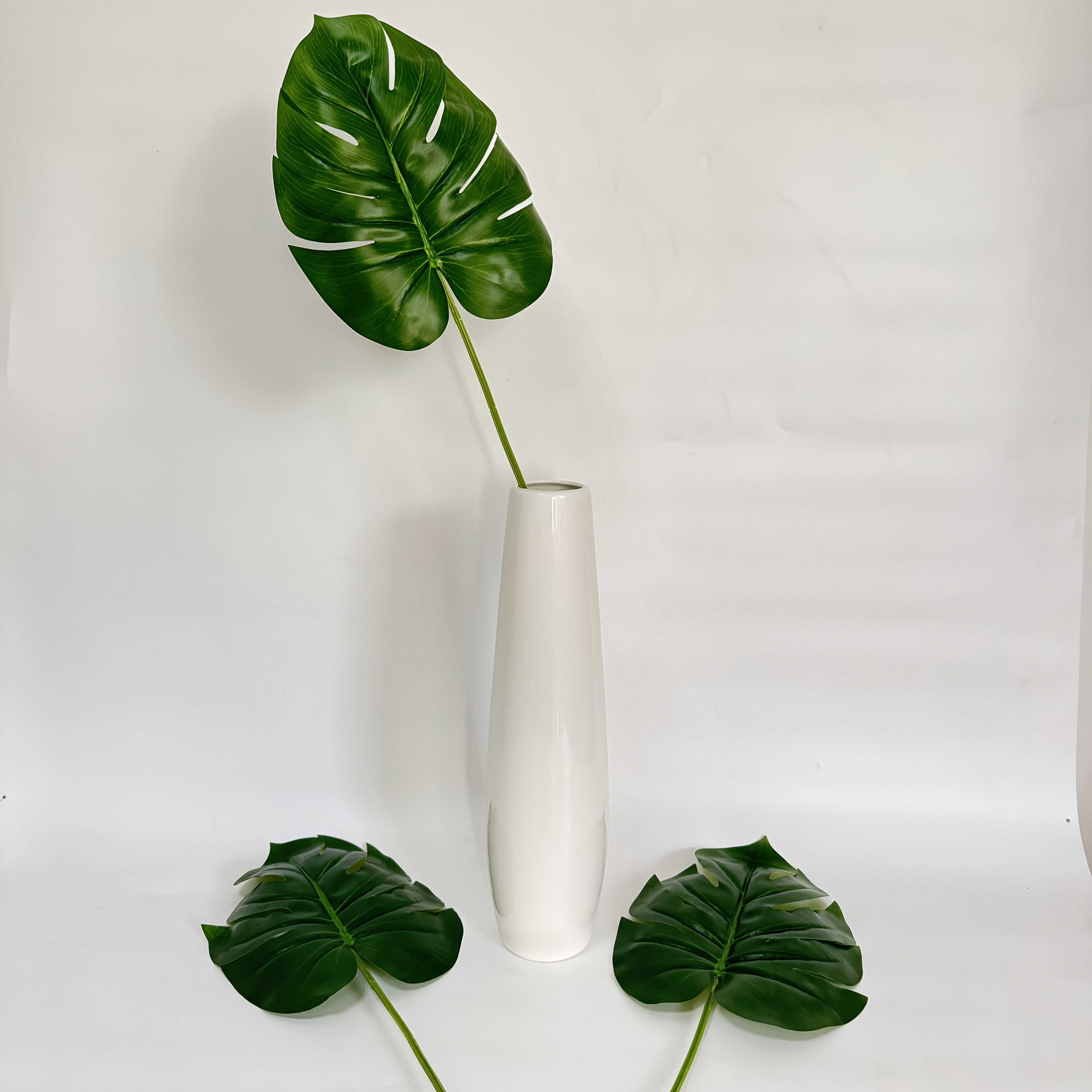 monstera pflanze blätter hängen Kaufen Sie Monstera Xanthospatha