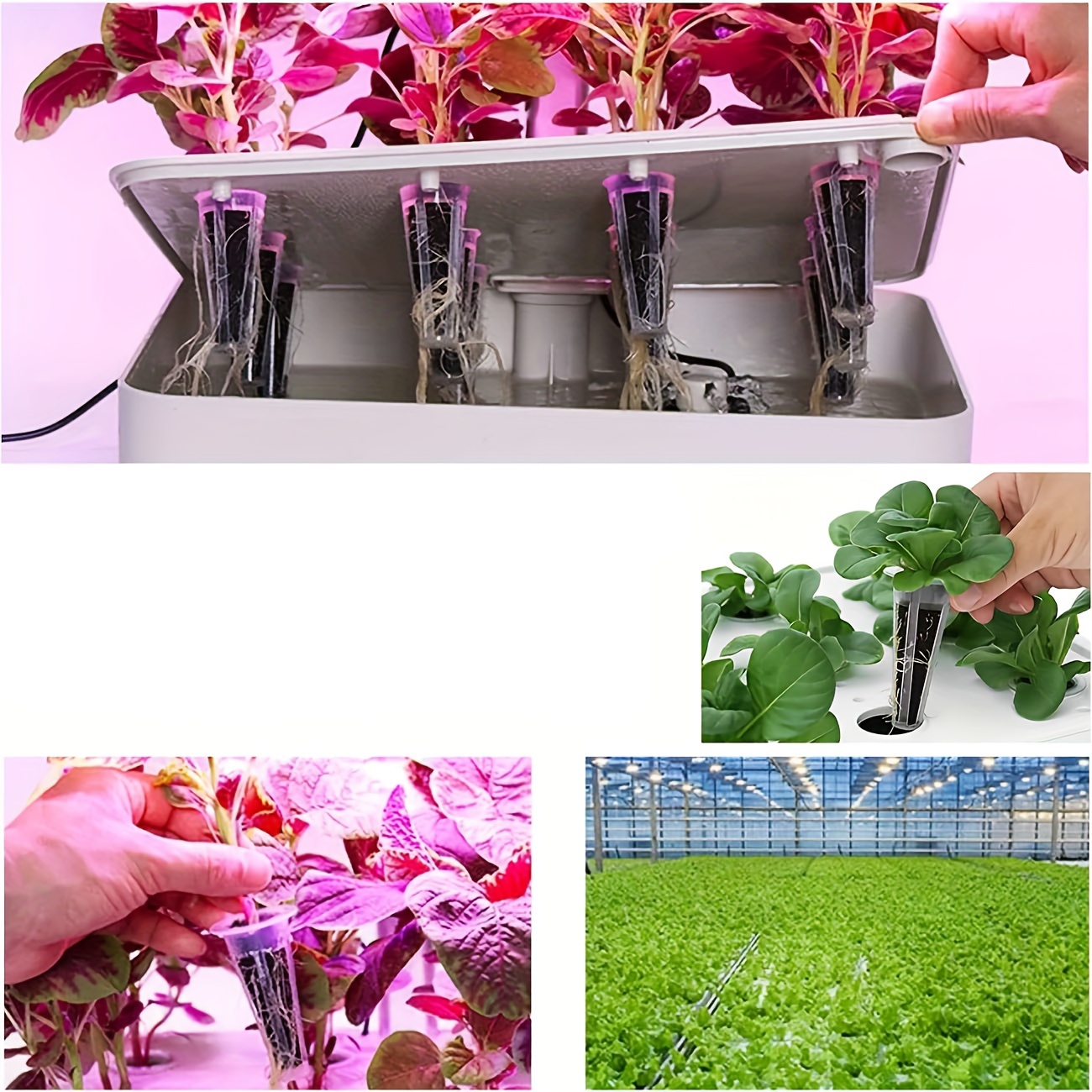 50pcs grow sponges replacement seed pods root growth sponges refill starter pods high germination rate for hydroponic plants growth details 5