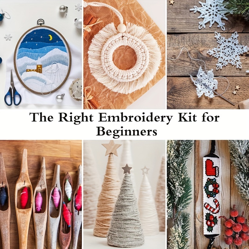 Embroidery Starter Kit with 50 Colors Stitch Thread
