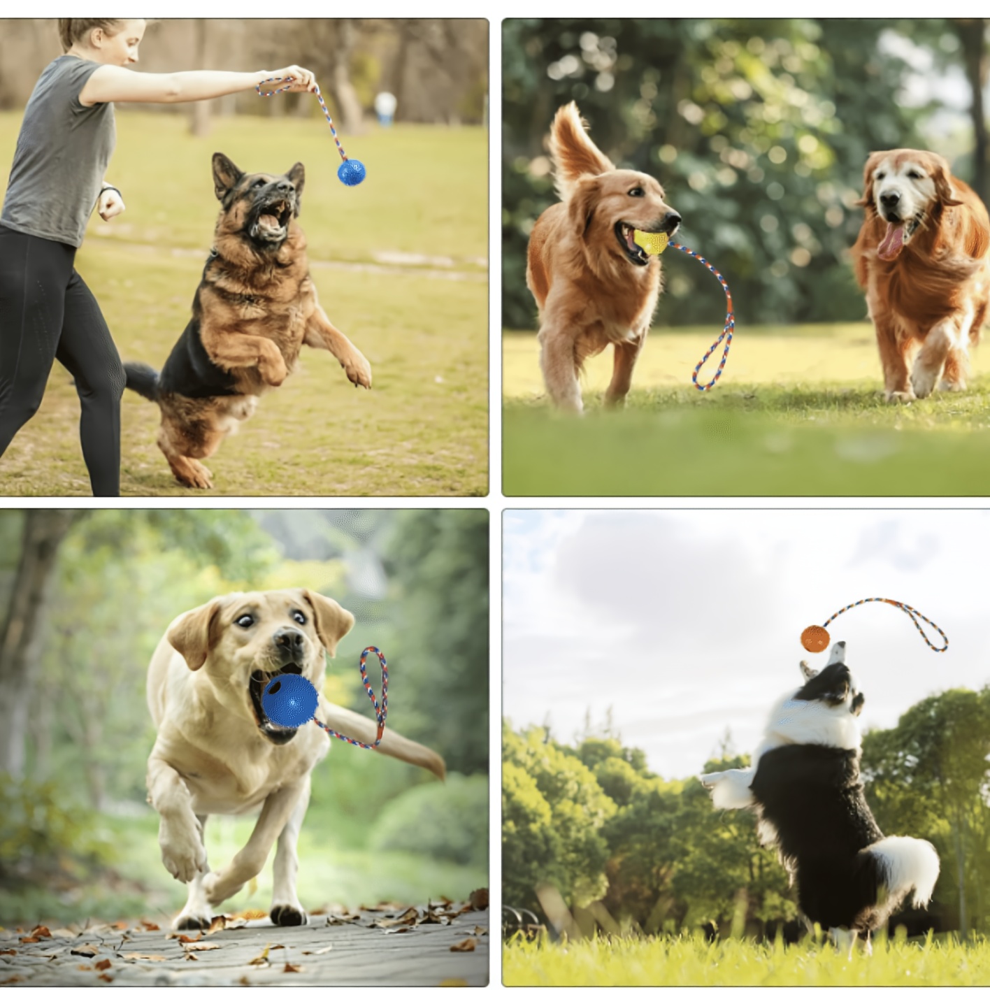 4pcs Dog Leash Feeding Natural Rubber Toy Balls, Bite-Resistant