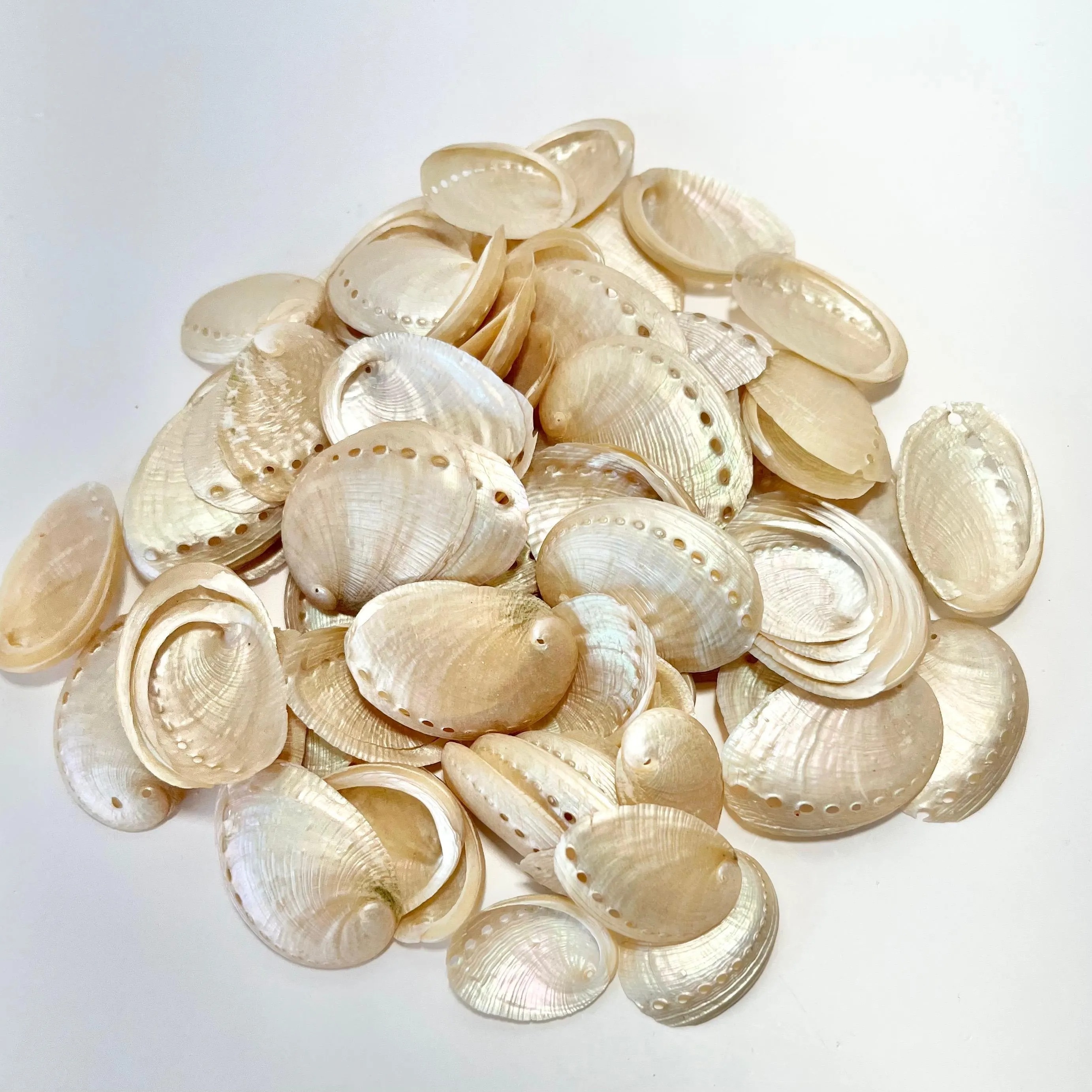 30 Abalone Shells - 1.6-2.4 Inches - Coastal Beach Decoration - Seashells - Beach Home Decor - Small Craft Seashells For Diy Crafts, Aquarium Decorations, And .