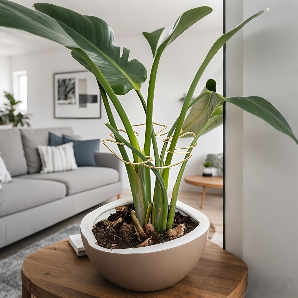 Plant Stem Support - Durable Monstera Stabilizer Grab Bar, Unique Climbing Plant Design, Turtle-Shell Bungie Kit, Ideal Plant Support for Healthy Growth, Decorative Plant Support