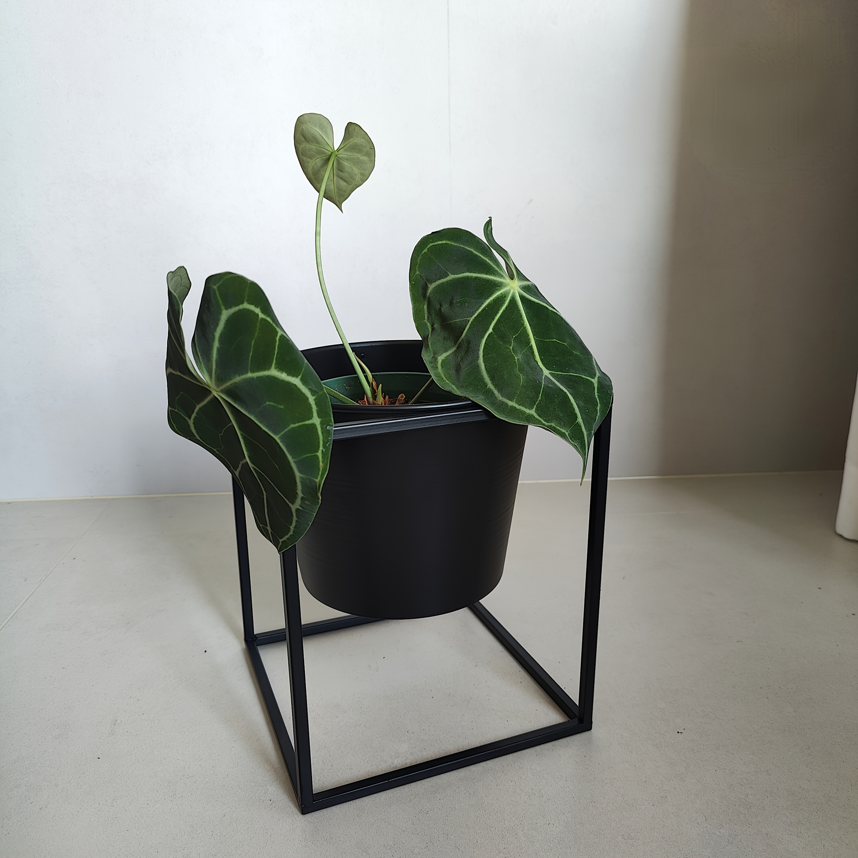 blumenstnder marmor Marmor Blumenstnder Wei Gold