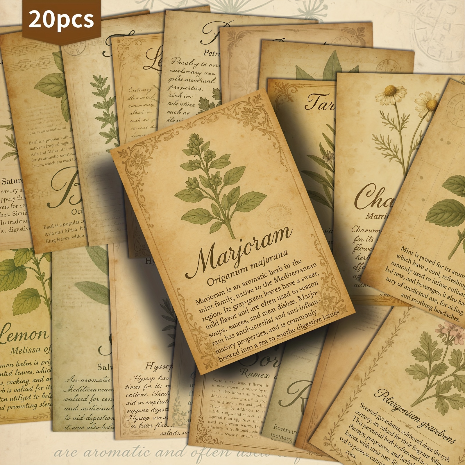 TEMU 20 Pack Herbal Botanical Paper Postcards - 4x6 Inches Junk Journal Paper, Classic Pinup Illustrations, Collectible Decorative Painting Cards For