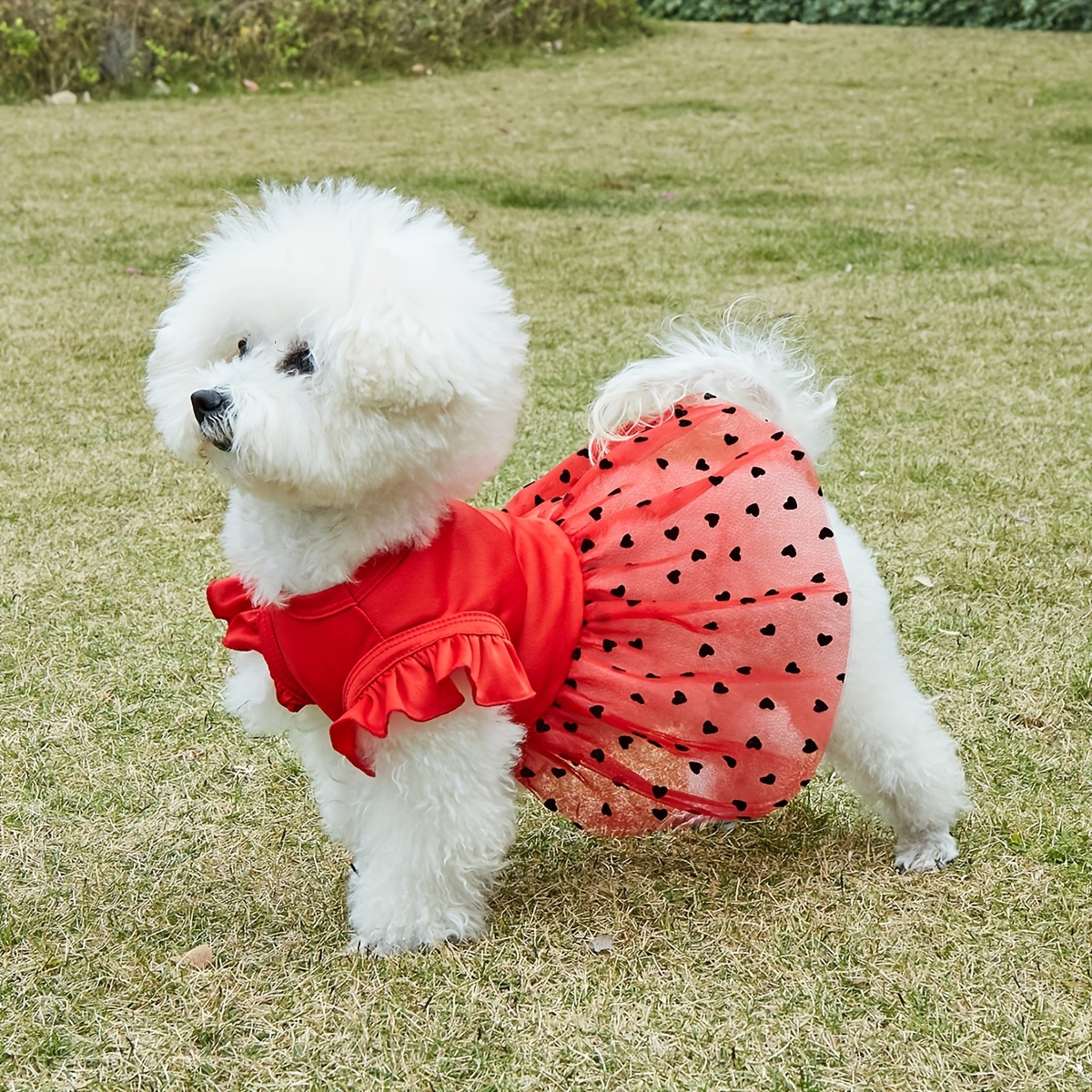 white christmas dresses Red and Green Christmas Dog Tutu Skirt (XL) Red/Green main image 1