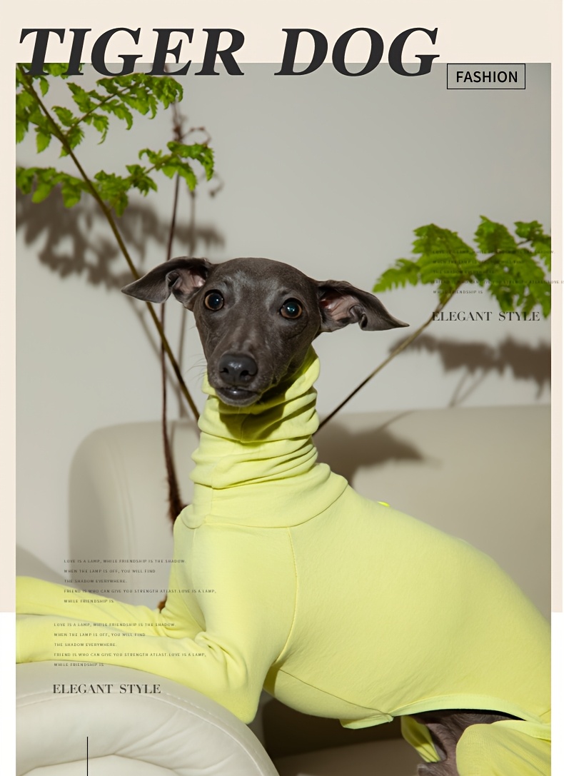 roupas de base quentes para galgos de - Temu Brazil, image size:790x1087