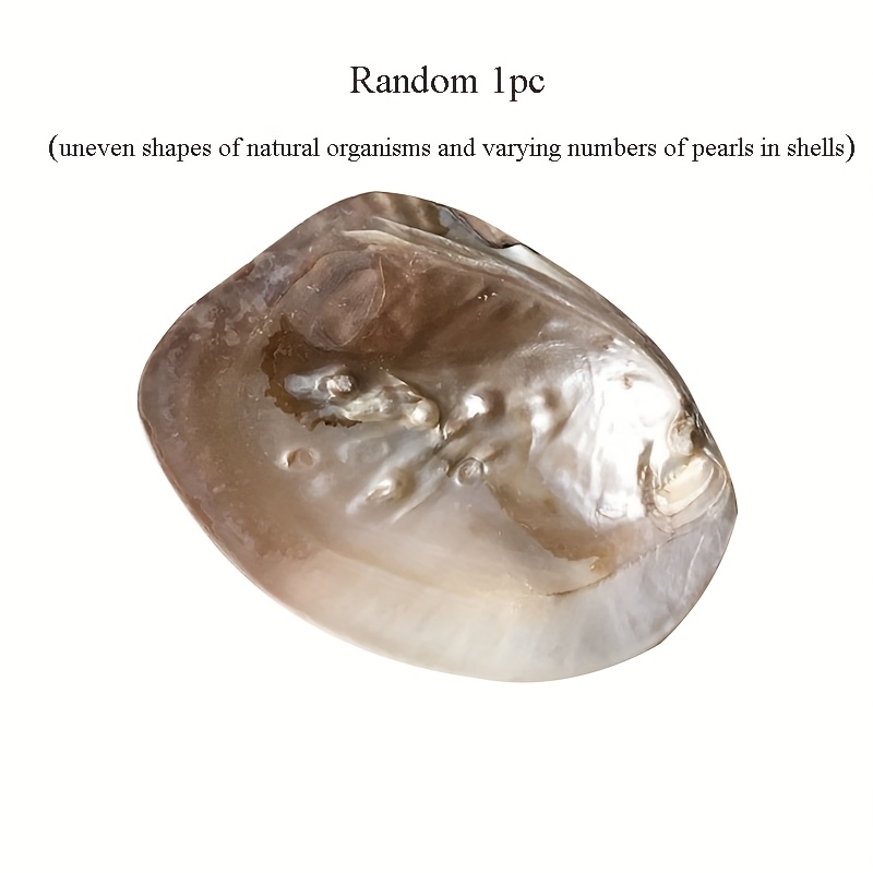 French Romantic Decorative Tray - Jewelry Tray - Natural Art Shell Small Item Storage Tray - Home Decoration Photography Prop - Best Gift For Women - Shell Style Random 1pc, Non-food Contact