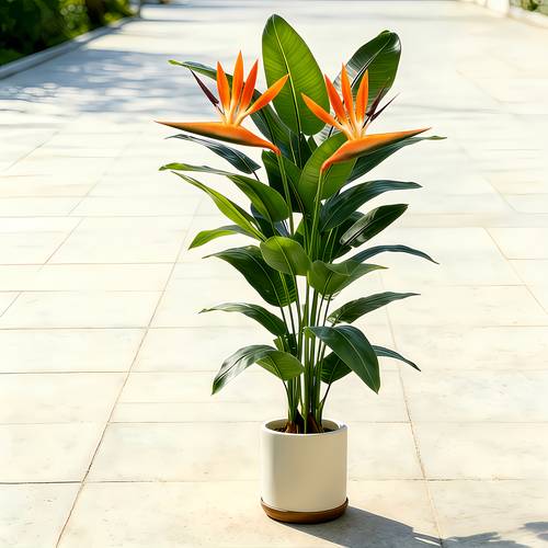 3pcs 29 5 inch ultra large artificial lyrata tree with 2pcs of paradise flowers enlarged leaves indoor outdoor use realistic greenery suitable for home office garden housewarming fathers day mothers day wedding