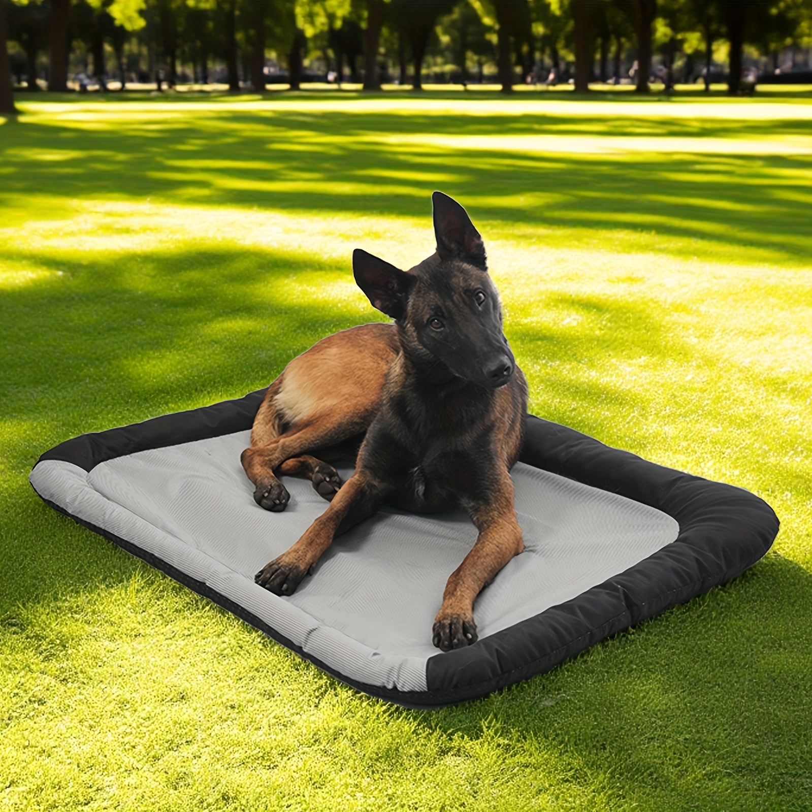 intelligenzspielzeuge fr hunde PawGenius Intelligenzspielzeug  Interaktiver Futterspender fr Hunde &  Katzen