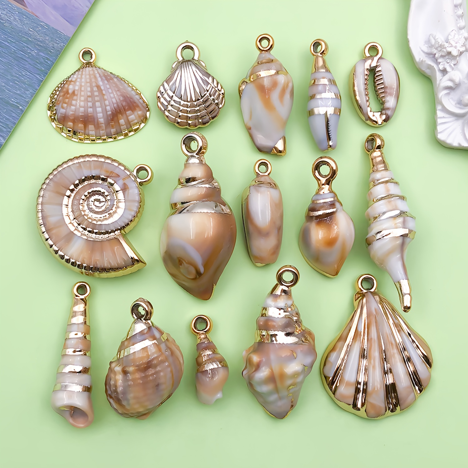TEMU 15pcs Mix Shell Pendants Acrylic Seashell Conch Cowrie Shells Charm Beach Shells Charm Summer Ocean Pendant Decor For Bracelets Necklaces
