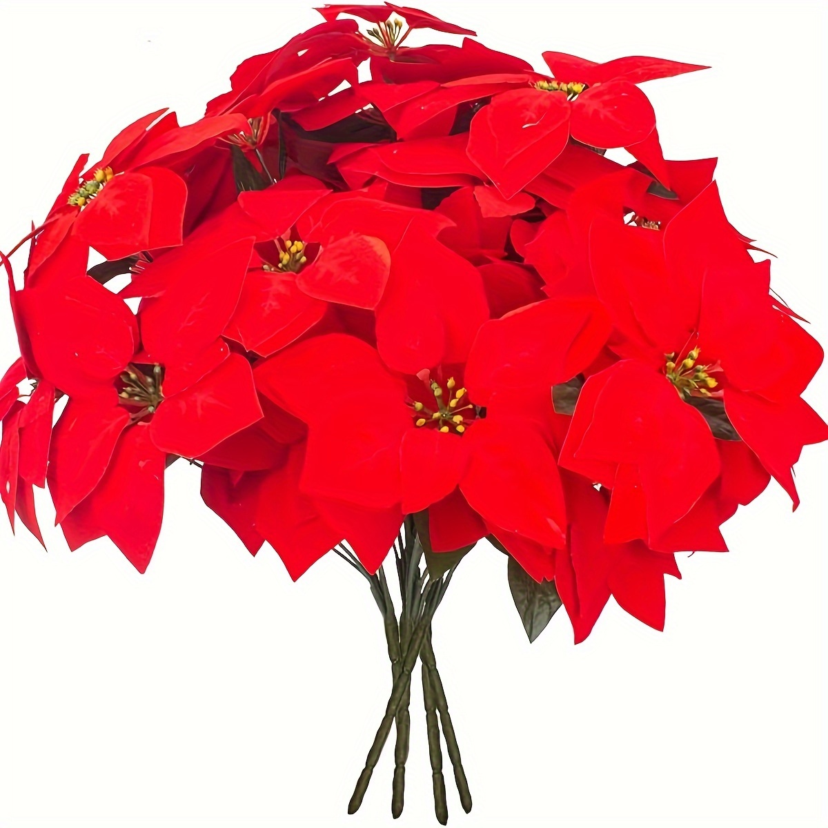 

18 Stems Of Festive Red Poinsettias: Christmas Decorating - Suitable For Indoor And Outdoor Use