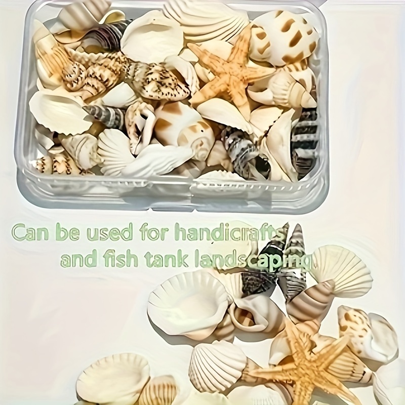 

1box Assorted Natural Shells & Sea Snails Mix, 35g Pierced Pieces For Diy Crafts, Candle Aromatherapy Decor, Ideal For Craft Projects & Aquarium Scenery