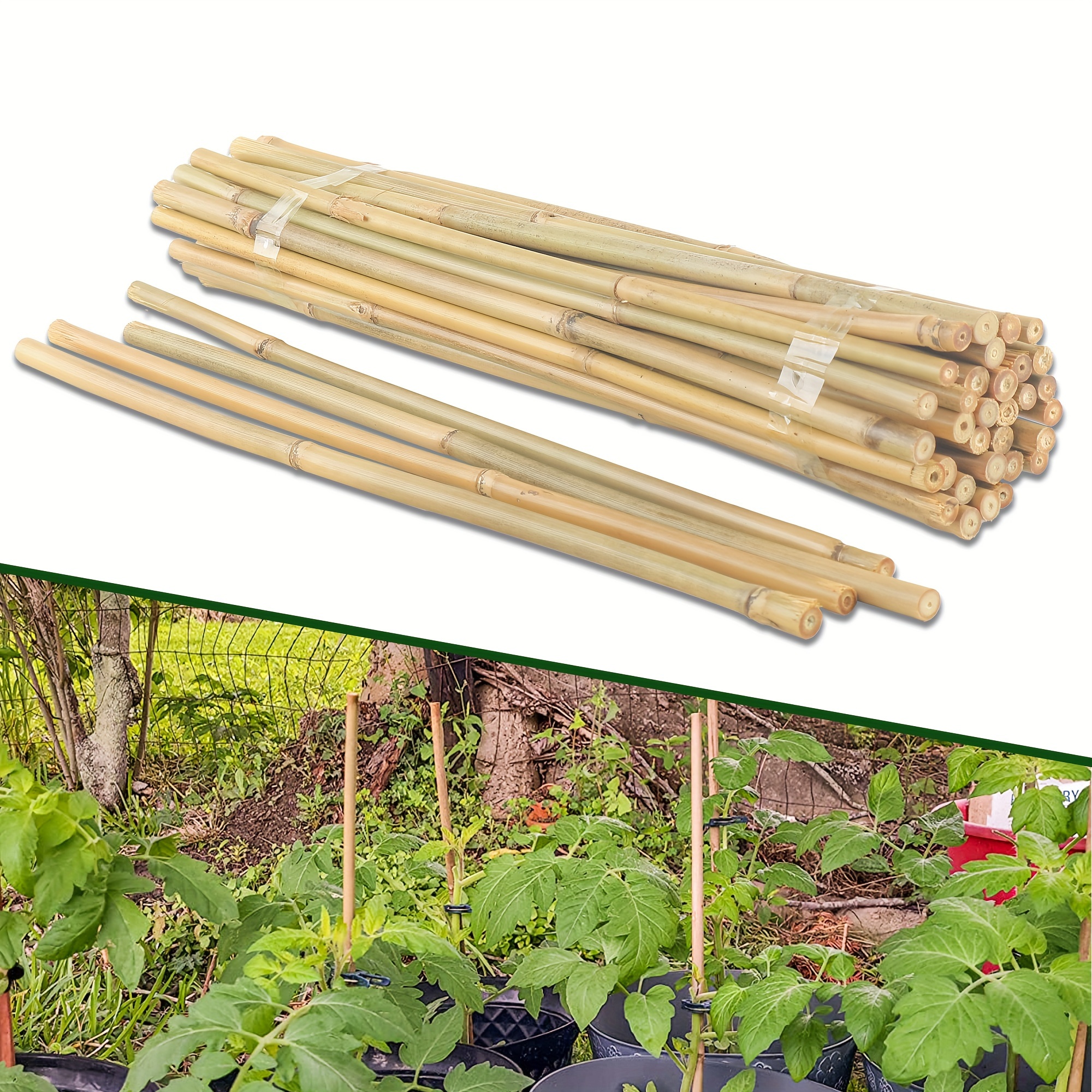 

100pcs Bamboo Plant Stakes, Suitable For Indoor And Outdoor Plants, 18 Inch Bamboo Stick Garden Support Stakes, Suitable For Tomato, Vegetable, Bean Tree, Potted Climbing Plants