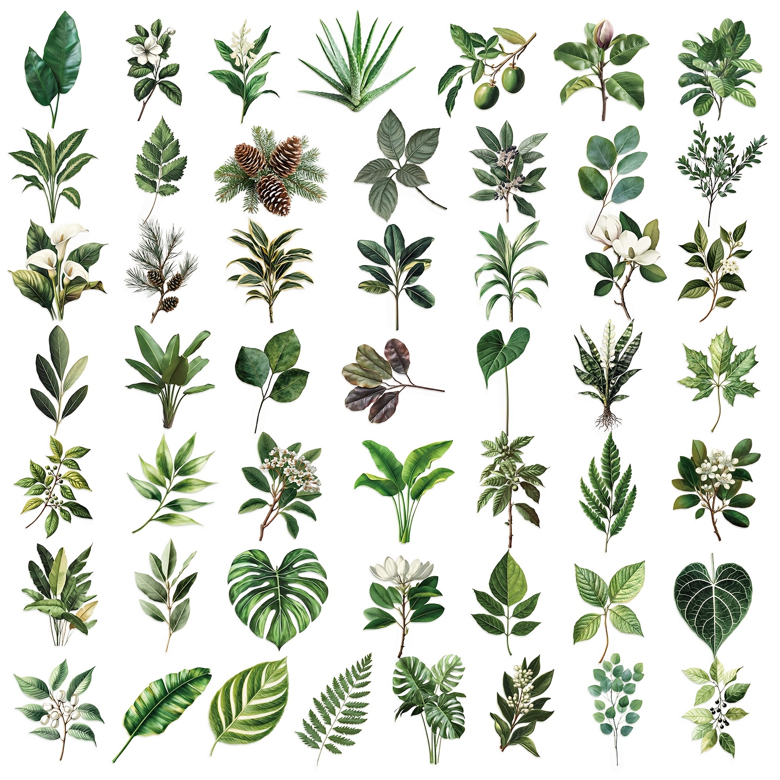 50pcs Retro Green Plant Leaves Stickers Vintage Cute Aesthetics Transparent Pet Stickers Ins Doodle Cartoon Decals Pack Decoration Suitcase Luggage Party Gift