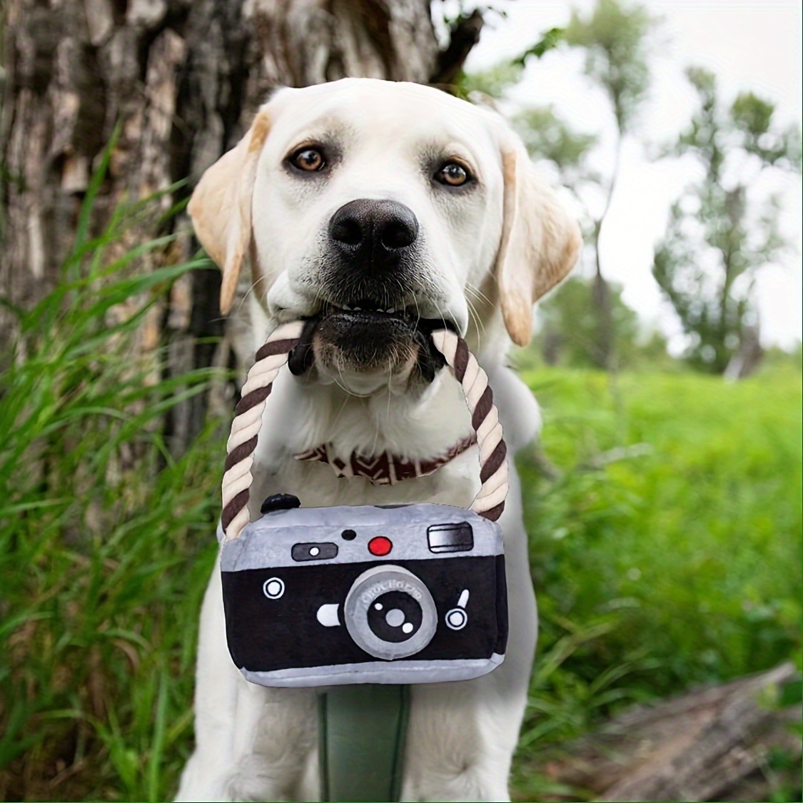 

Plush Camera-shaped Dog Toy With Cotton Rope, Durable Chew Toy For Teething Puppies And Small Pets, Squeaky Sound For Interactive Play