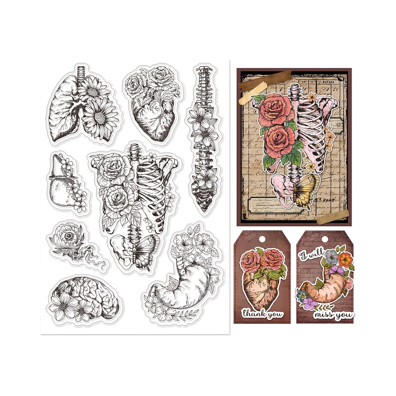 

1pc Human Anatomy Silicone Stamp - Transparent, Pvc Material For Card Making, Scrapbooking & Paper Crafts