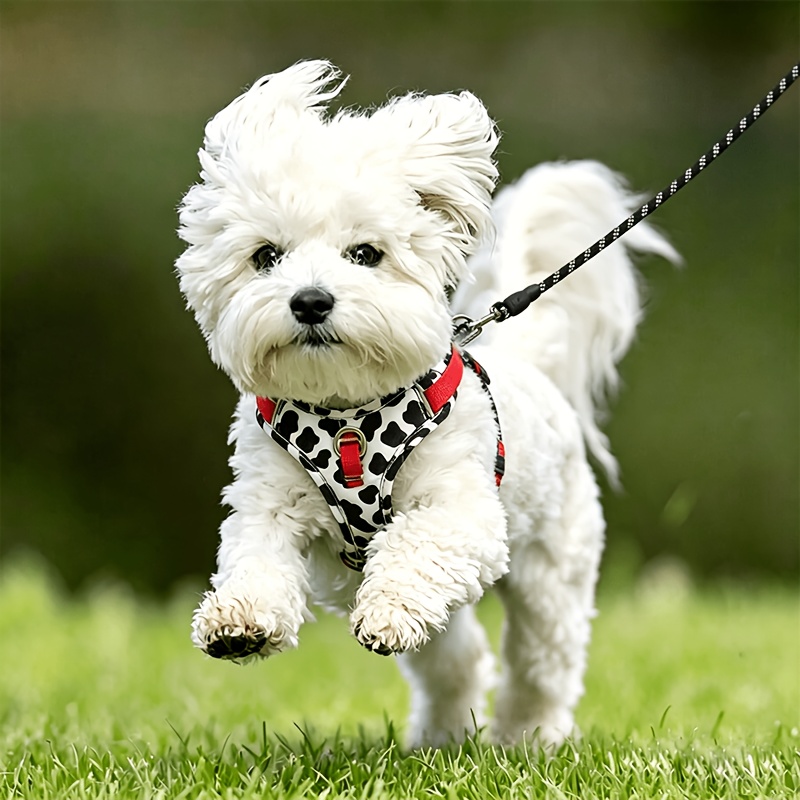 DH006 Vest-Style Dog Harness Leash for Large Medium Small Dogs