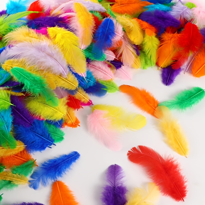 110pcs Color Simulation Feather DIY Creative Art Course Kit
