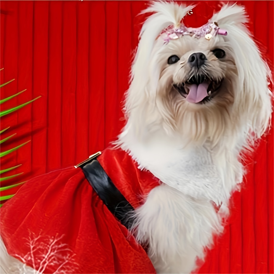 

Dog - Christmas Pet For Small Breeds,