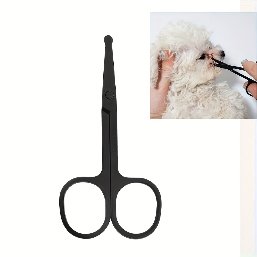 

Stainless Steel Pet Scissors For Eye Trimming, Easy To Clean, Round-tip Safety Design - 1pc, Dog Scissors