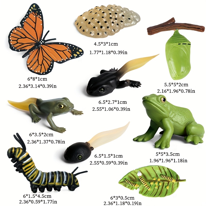 Set Of 9 Figurines Representing Cycle Of Butterflies And Frogs, Ideal For Educational Projects
