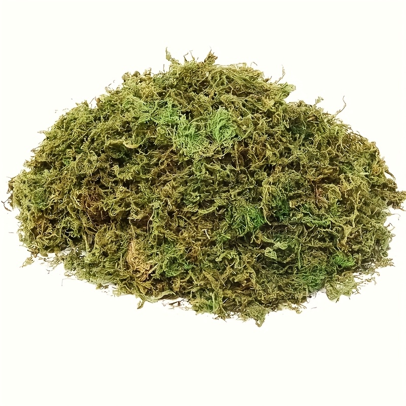 

50g Artificial Plant Moss For Floral Arrangements, Potting, Crafts, And Home Decor - Realistic Fake Moss For Diy Projects And Table Centerpieces