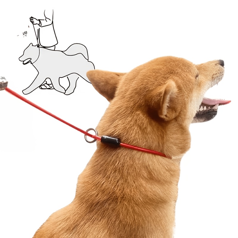 Dog Training Leash with Adjustable Metal P-Collar, Anti-Pull Design