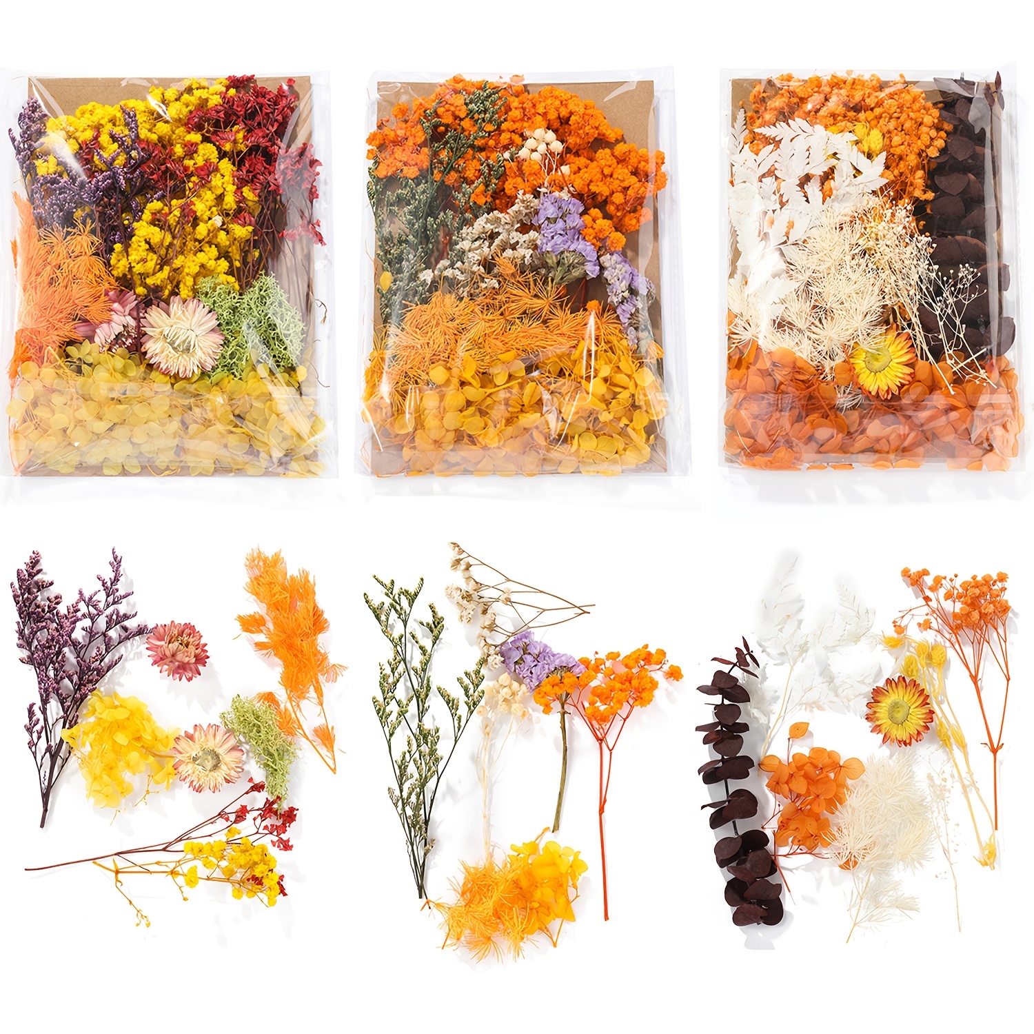 TEMU 3 Packs Dried Flowers, Dried Flowers, Dried Flowers For Crafts, For Art, Diy, Resin, Scrapbooking, Crafts, Cards Making