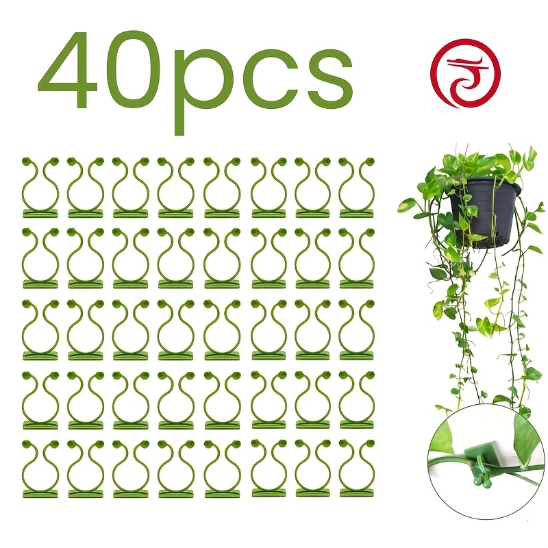 TEMU 20/40/100 Clips de pared para plantas trepadoras, ganchos autoadhesivos, soportes invisibles de para enredaderas, clips de alambre fijos, para