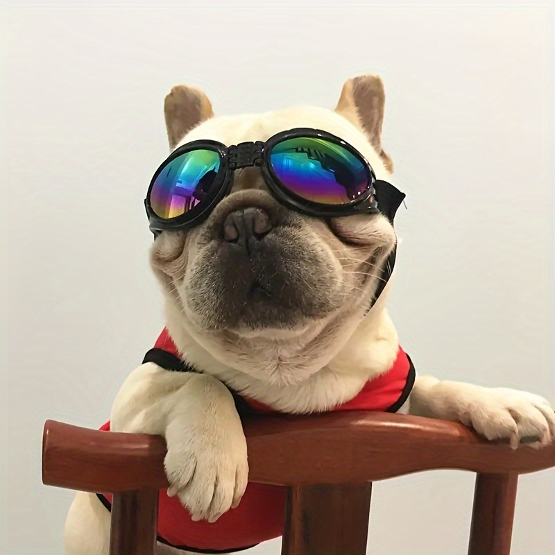 1pc of collapsible dog glasses suitable for   a stylish   with adjustable shoulder straps suitable for small and medium sized dogs Product details 6