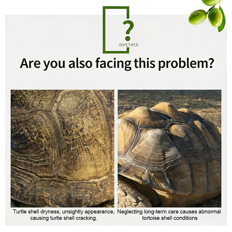 FAELUTE Tortoise Shell Care Spray, Nutrient-Rich Shell Polishing & Protection Spray for Reptiles, Prevents Cracking & Discoloration, Hydrates & Restores Shine, Safe for All Turtle & Tortoise Species, Easy-to-Use Quick-Dry Formula